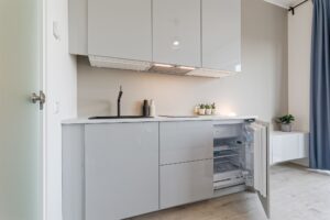 Üürida hubane stuudiokorter Pelguranna 3